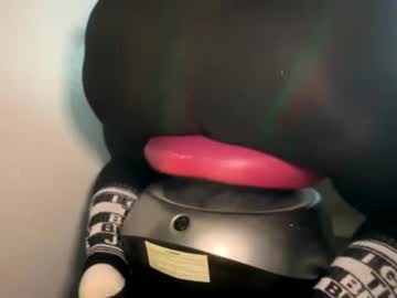 misspawstotouch
